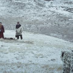 雪豹 - 15ODF3UIS7VcTbWOyxwsy9mK6yi.jpg