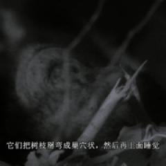 大裂谷：美丽的非洲心脏 - p1642347008806064506.jpg